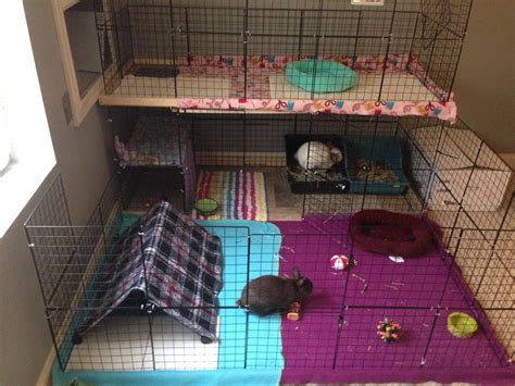 turn metal 2 story playpen into bunny house|The 6 Best Rabbit Hutches in 2022 .